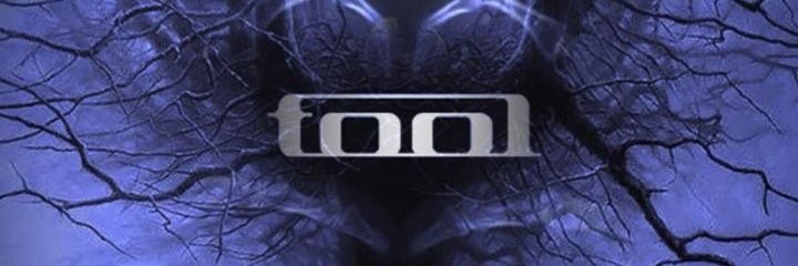 ✴️Lisa B✴️ banner