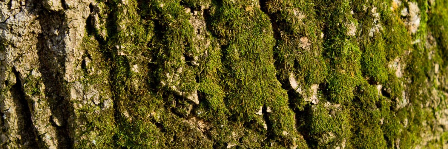 greenghost2000's profile banner image