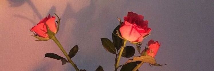 seventhhelen's profile banner image