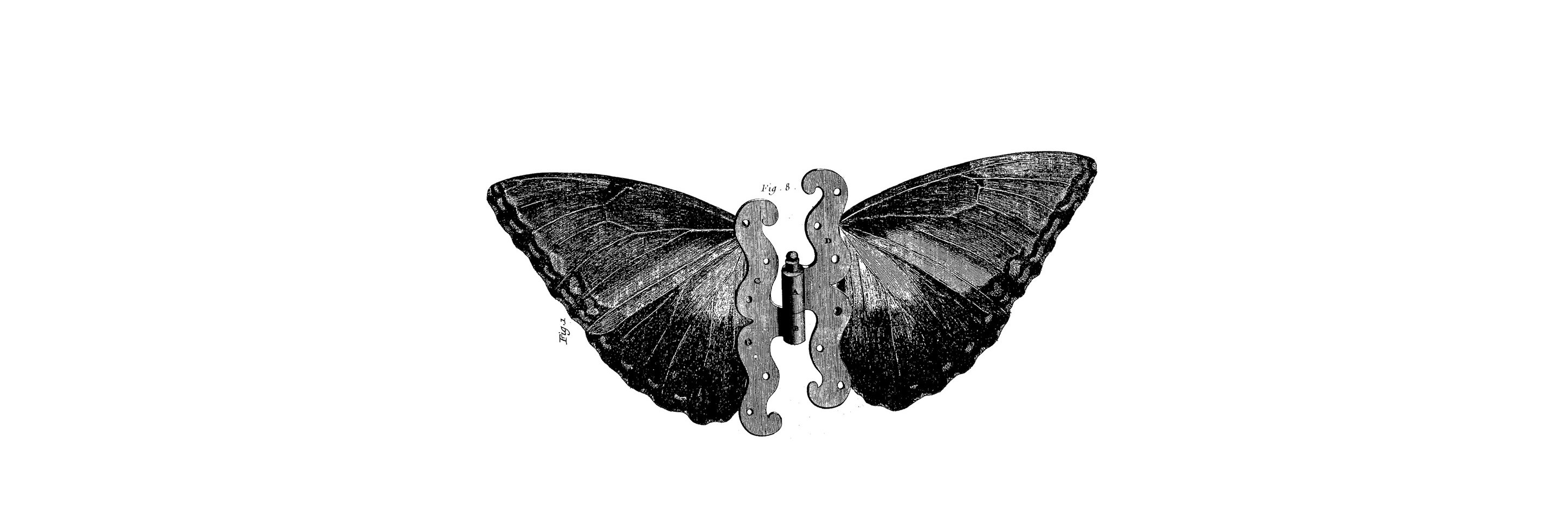 kidfernandez's profile banner image