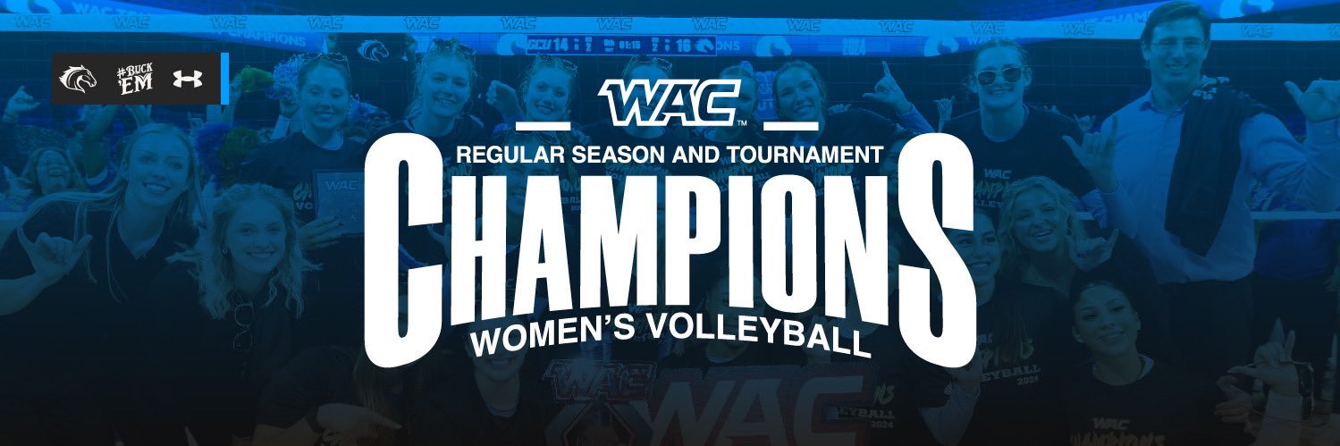 UTA Volleyball's banner