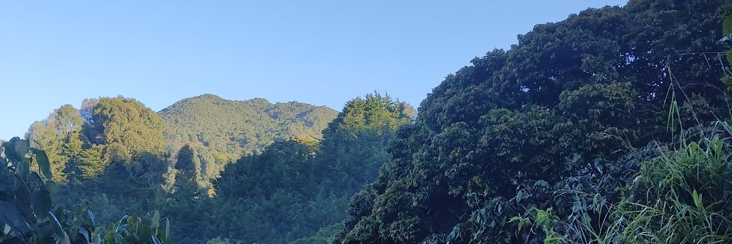 sbarrientosb's profile banner image