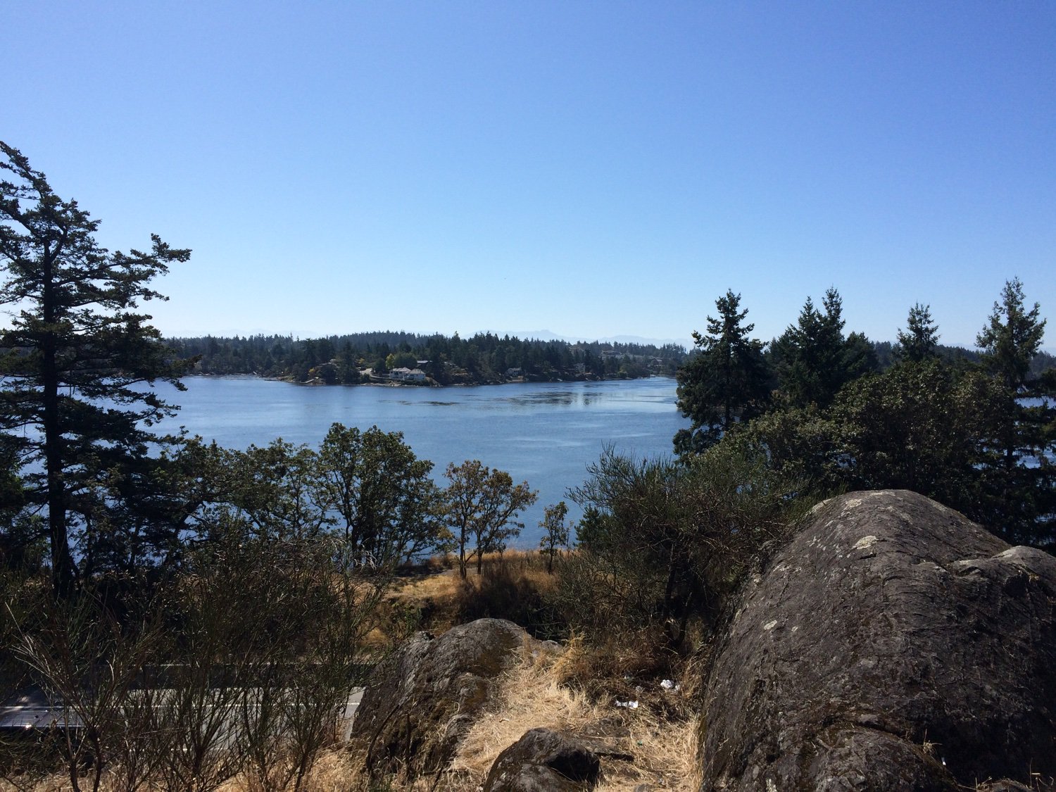 Dr. Leith Davis banner