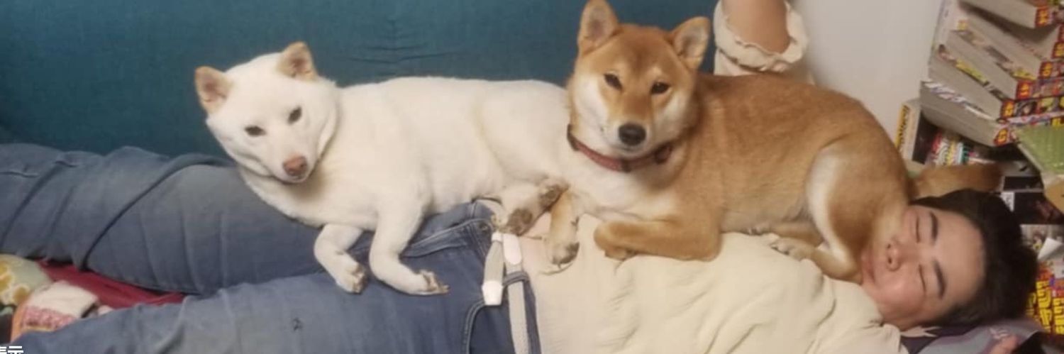 sun_otopi's profile banner image