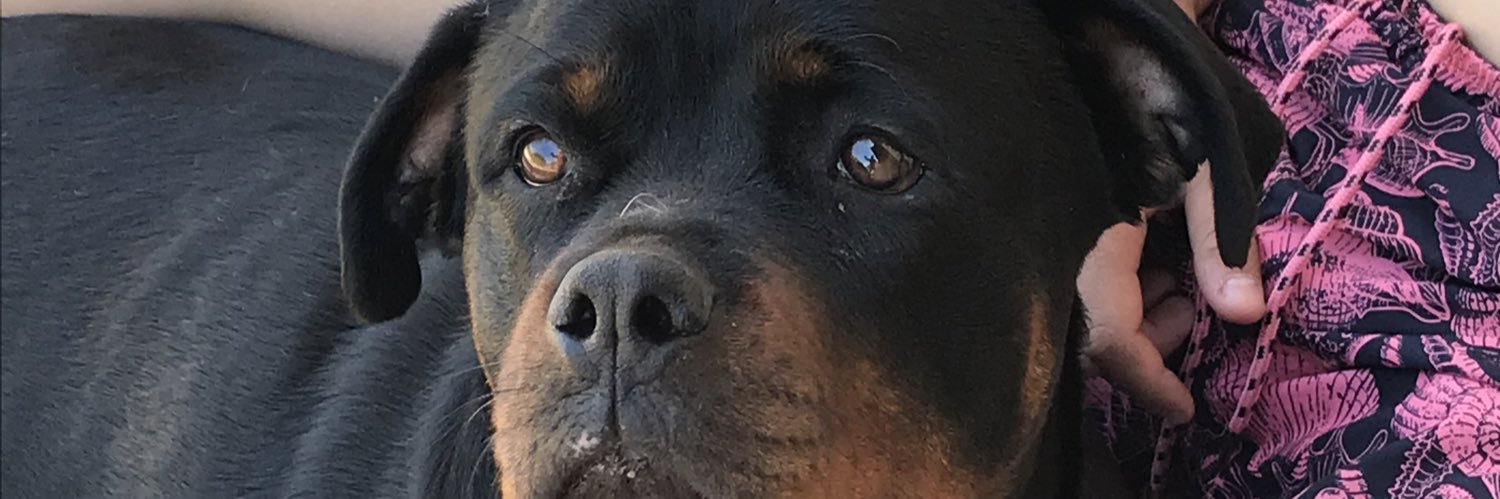 cayo_fabio's profile banner image