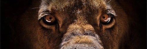 trtmarco's profile banner image