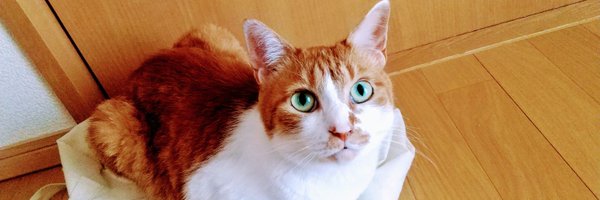 Kurin_ADHD88881 Profile Banner