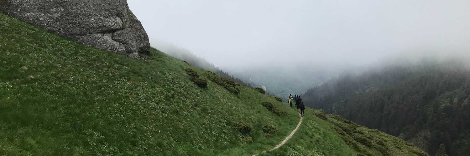 Elena Burceanu banner