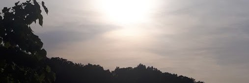 Zezar_1's profile banner image