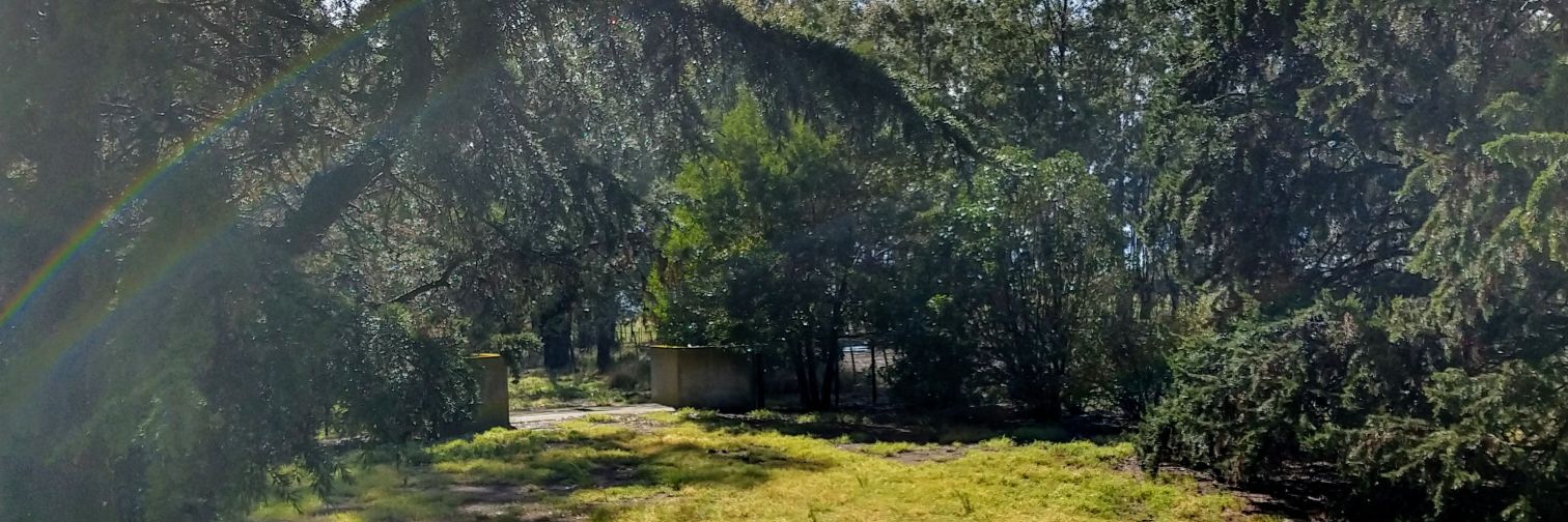 Milton🇦🇷🇩🇪 banner