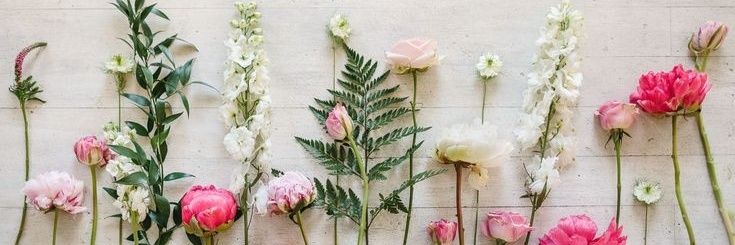 estrellak27's profile banner image