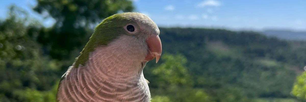 Bianchu_16's profile banner image