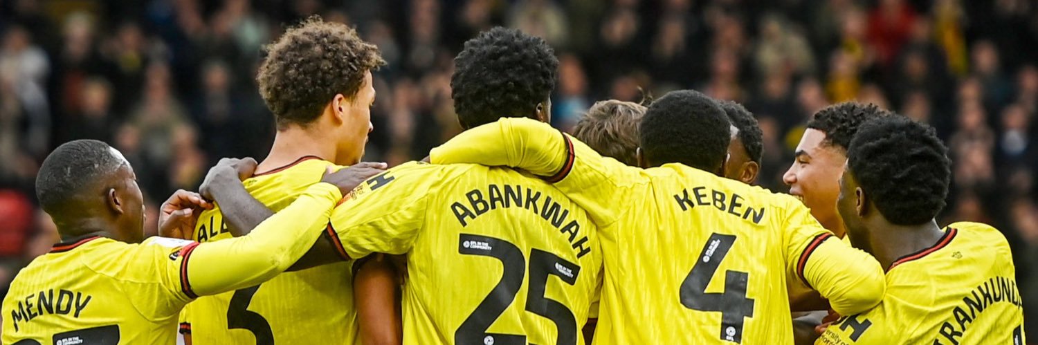 Watford Argentina 🐝🇦🇷 banner