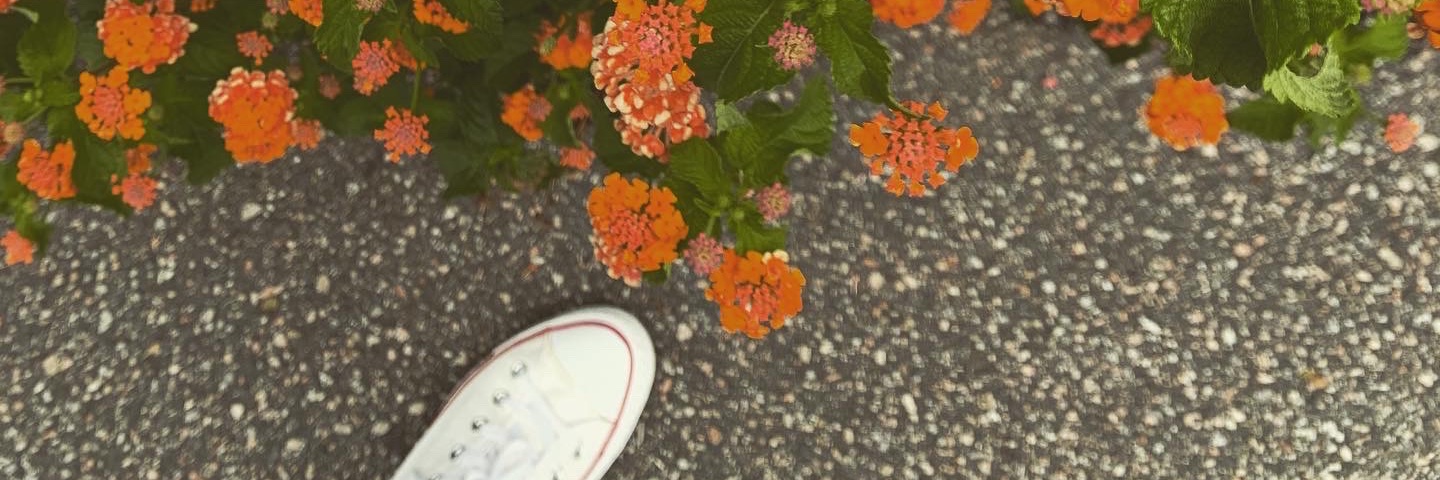 HannahBrianne_'s profile banner image