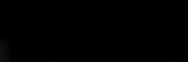 delfinapavon's profile banner image
