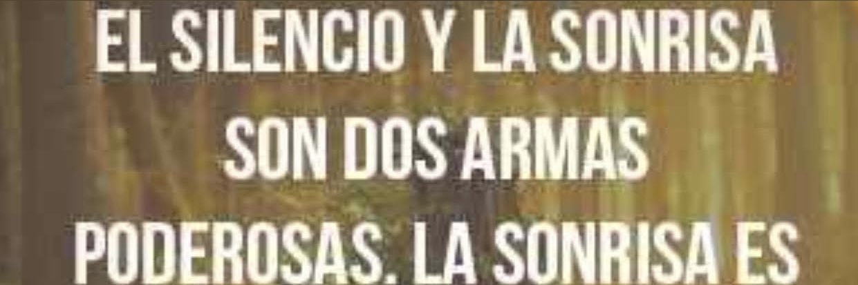 Alfredo Cohen banner