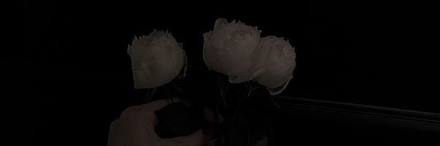 เฟย์ 🥯☁️ banner