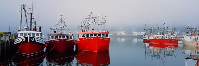 The Town of Digby banner