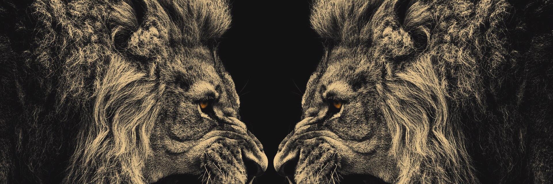 djbooker1's profile banner image