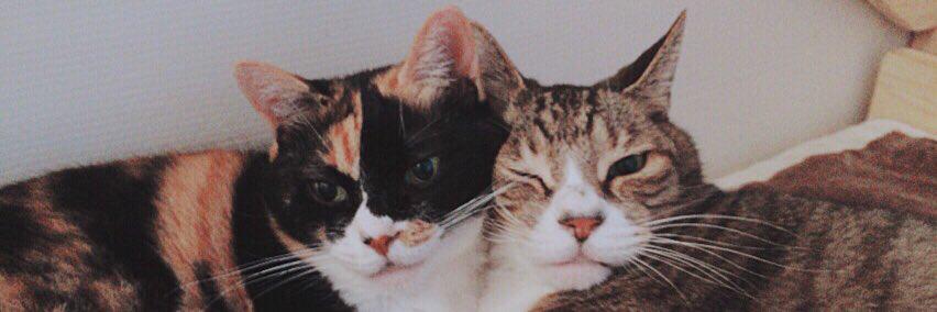 小松朗宏【公式】 banner