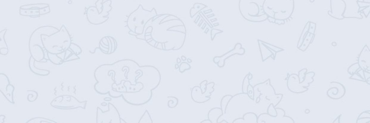 aliyf77's profile banner image