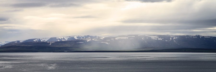 littlecoala's profile banner image