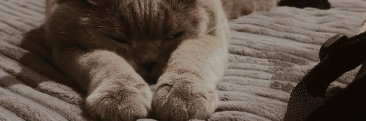 laydaAlkaya1's profile banner image