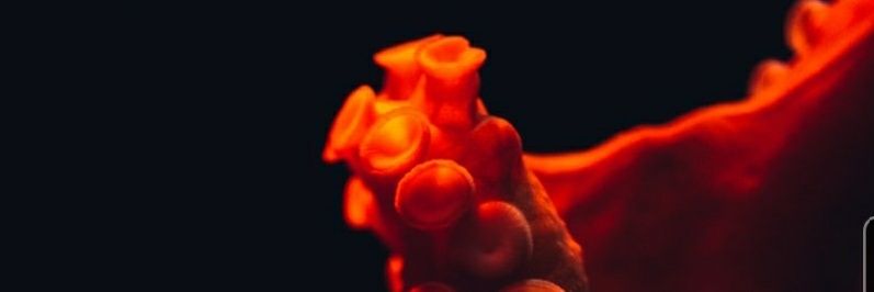 thatsMRj's profile banner image