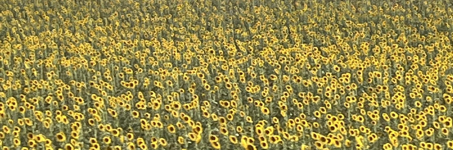 LegidoMaria's profile banner image