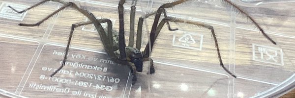 mediamannetje Profile Banner