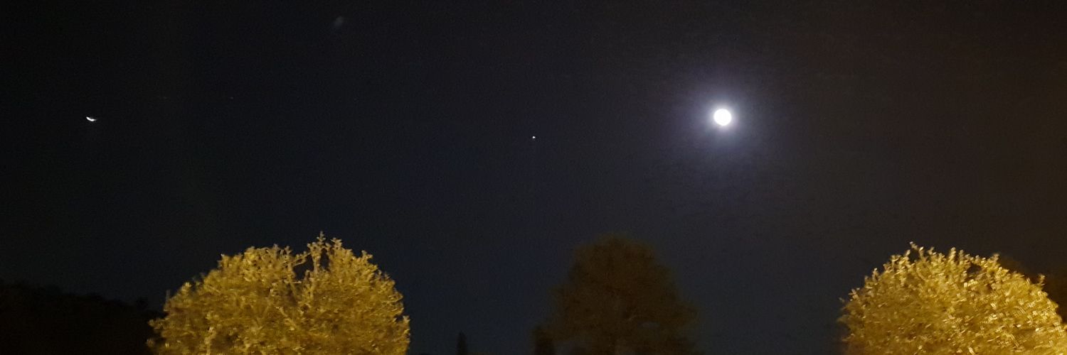 Elygal8's profile banner image