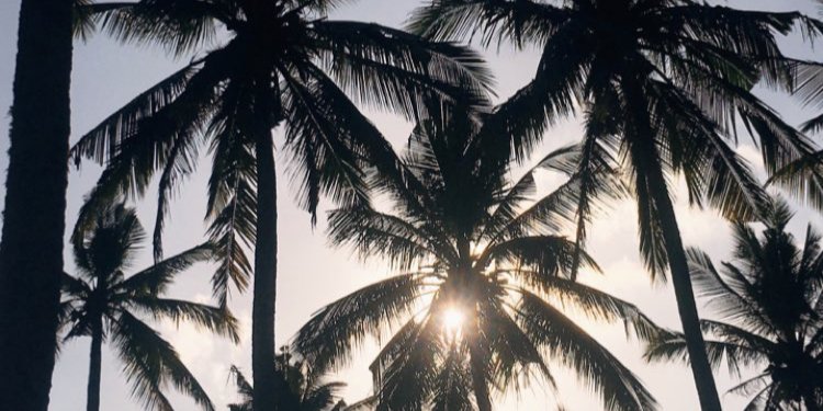 jerjejerry's profile banner image