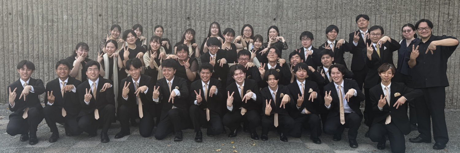 VOCE ARMONICA banner