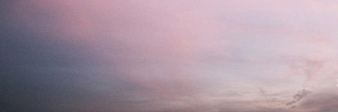 S banner