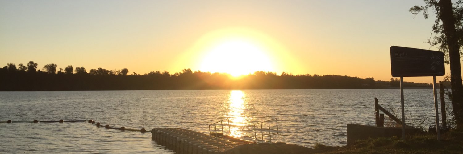 YellowCam_'s profile banner image