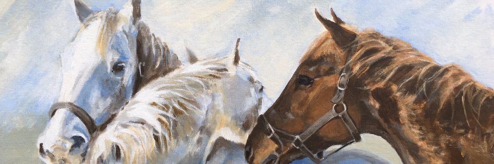 CathyJefferies's profile banner image