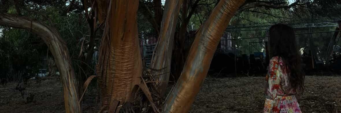 waynefromaardman Shady Facts tick emoji banner