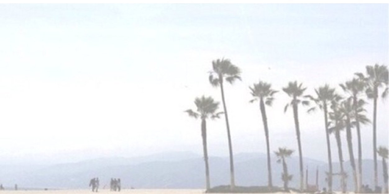 marintonelli's profile banner image