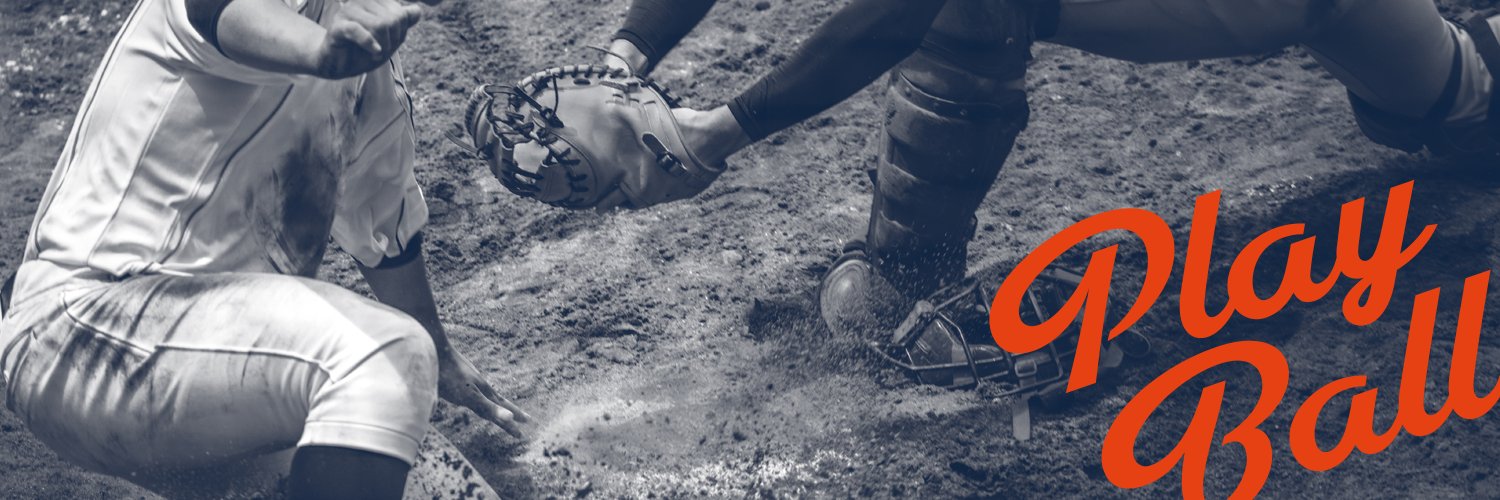 High Park Little League banner