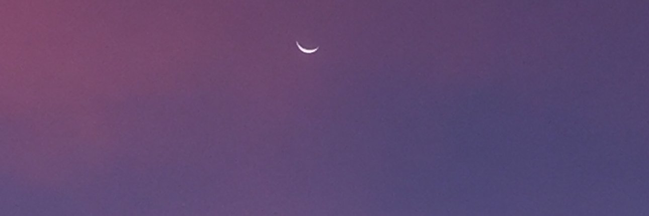 djukielee's profile banner image