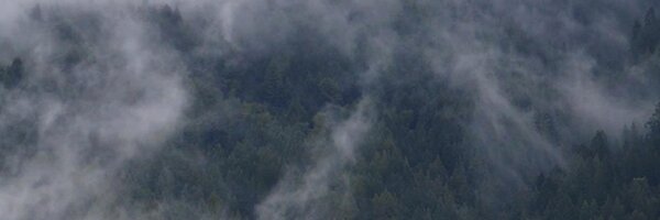 MetalGuruNet Profile Banner