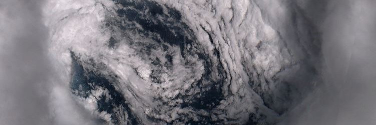 Matthew Sitkowski banner