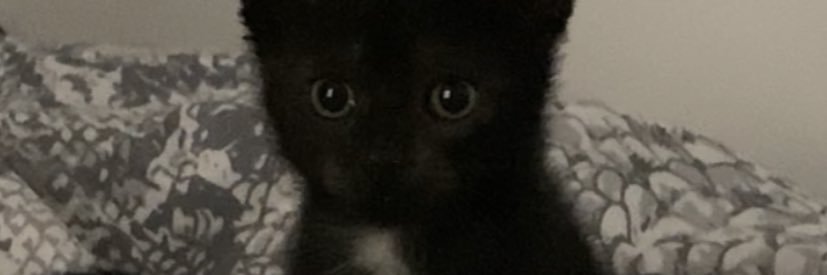 MallauRitplus's profile banner image