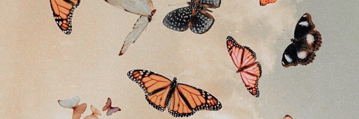 vance_kaylee's profile banner image