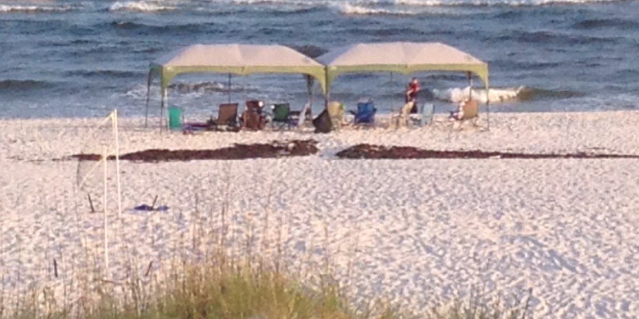 shane holcomb banner