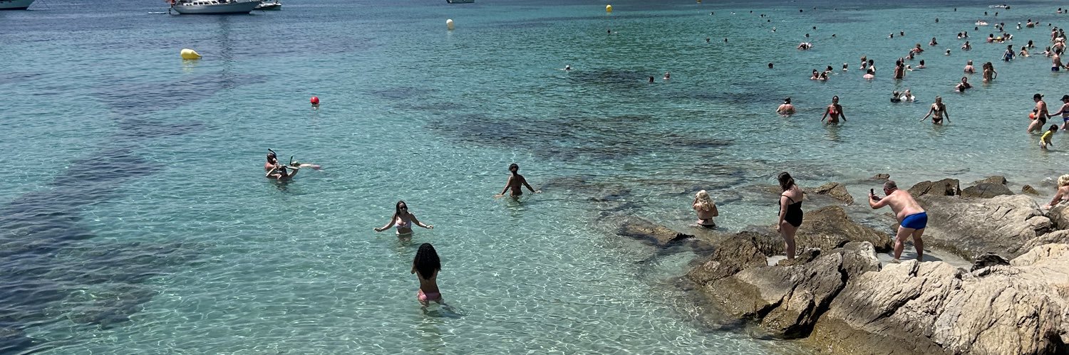 Fiona Anderson banner