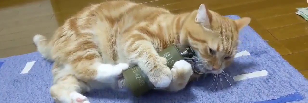 Mateus Araújo banner