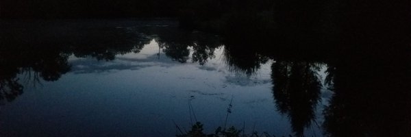 ActiveOgre Profile Banner