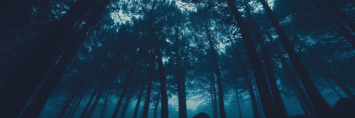 GenesisCTout's profile banner image