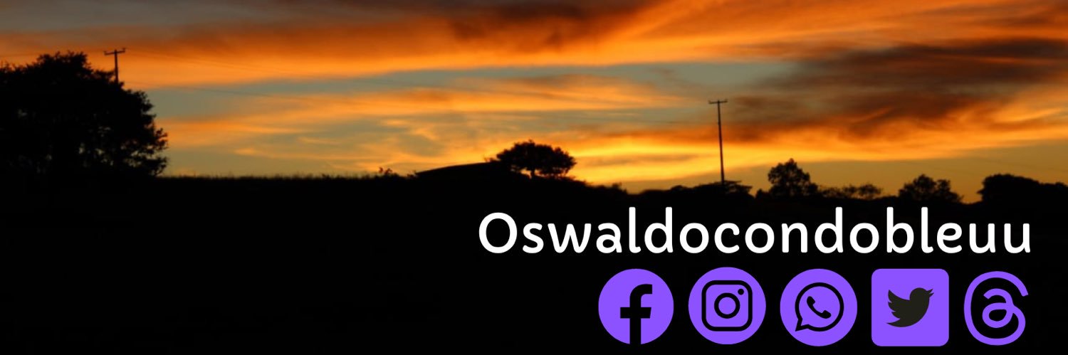 ossleon's profile banner image
